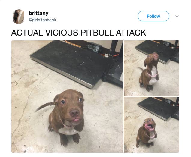 buzzfeed
