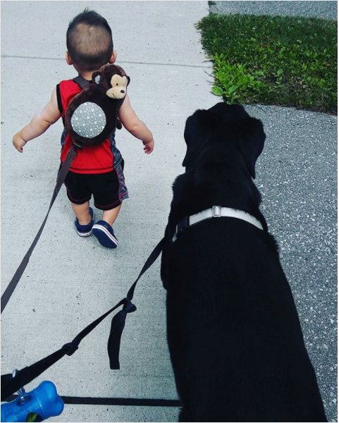 Maybe you scoffed whenever you saw a kid at the park wearing a backpack safety harness.