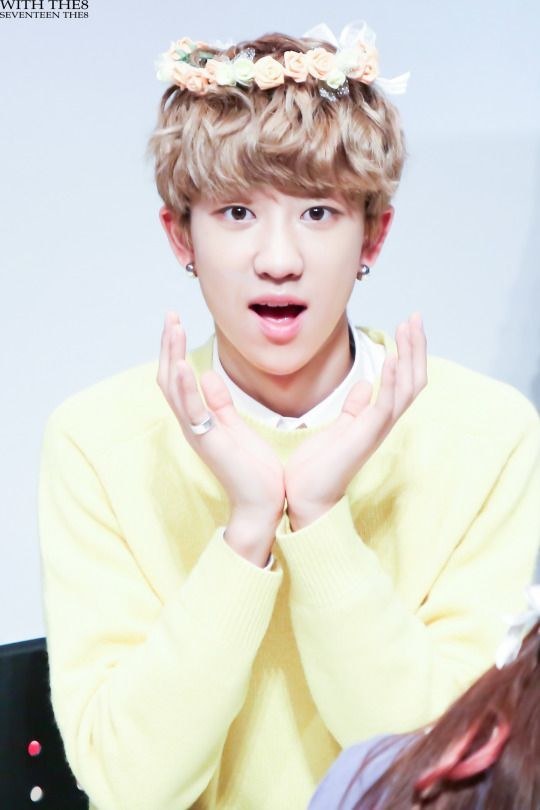 Can Name All The Seventeen Members? Can Name All The Seventeen Members?