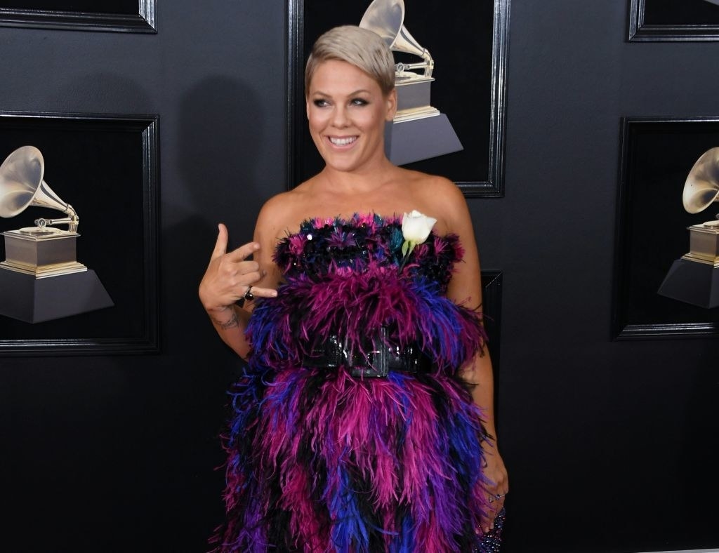 what is pink wearing at grammys singing wild hearts