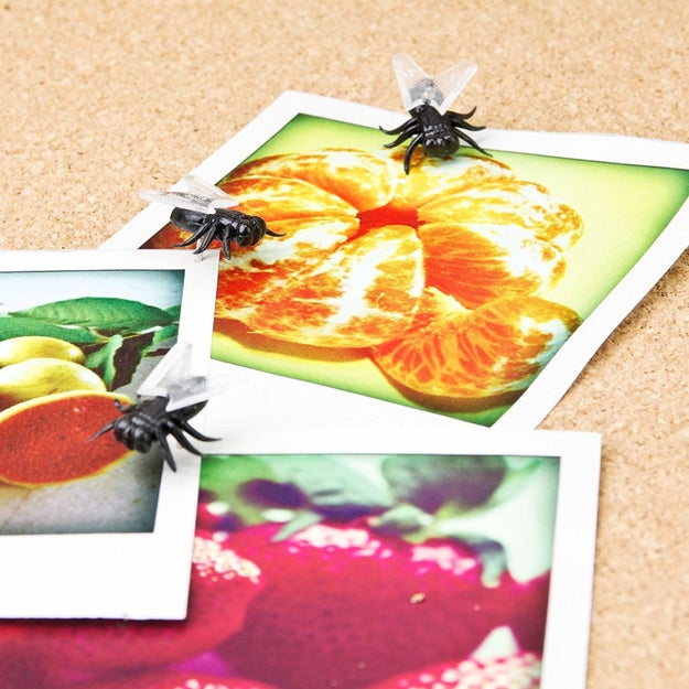 Fly push pins so all your notes and pictures can be like flies on the wall.