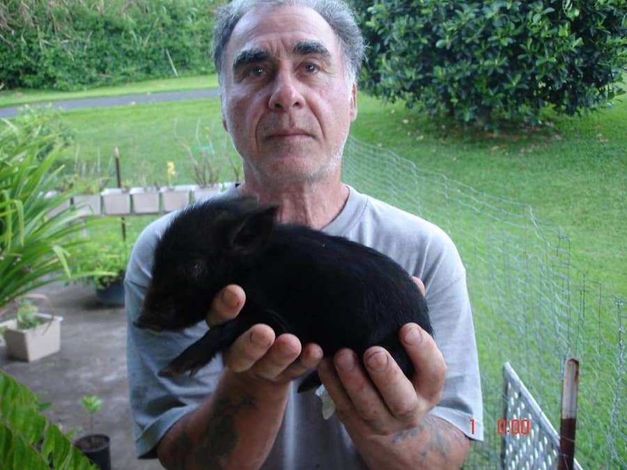 ハワイのヤバい男性が ヤバいムカデを発見 ハワイのヤバい男性が ヤバいムカデを発見