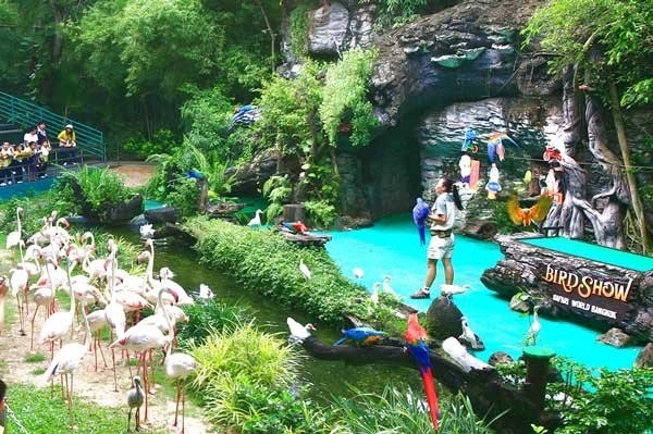 Head over to the Safari World to enjoy a unique experience in its 200-acre park with free-roaming animals. Check out the schedule of the park and catch the bird show, feeding-show, sea-lion show and the fun dolphins’ acrobatics.
