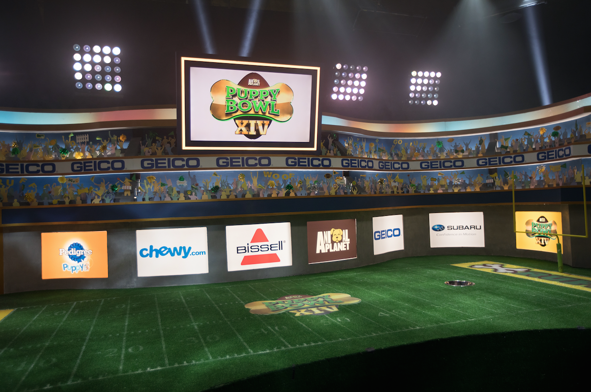 puppy bowl location