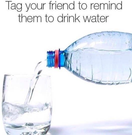 drink water meme