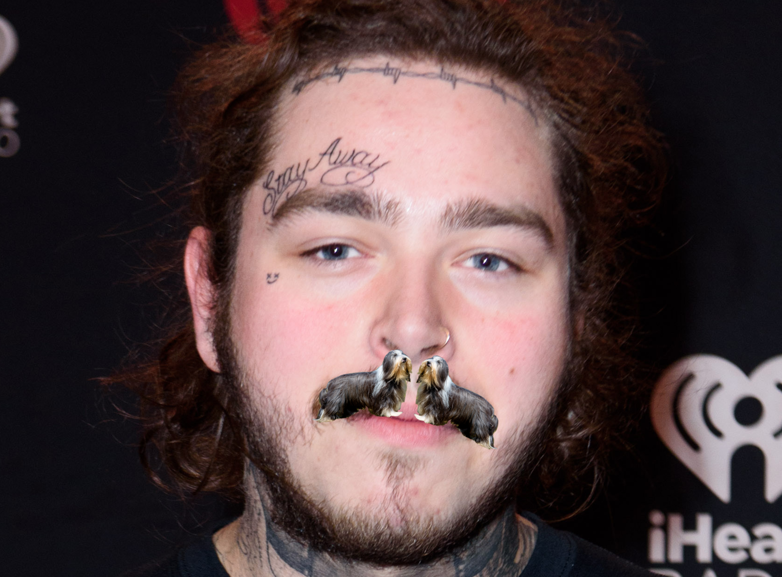 Once You Realize That Post Malone's Mustache Looks Like Two Dogs