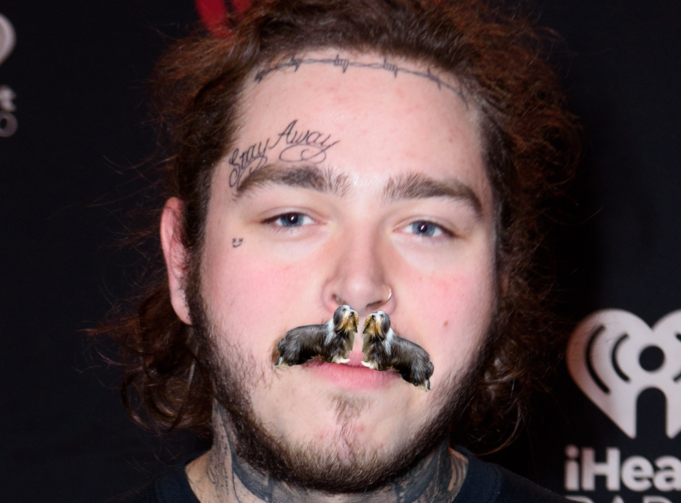 Once You Realize That Post Malone's Mustache Looks Like Two Dogs ...