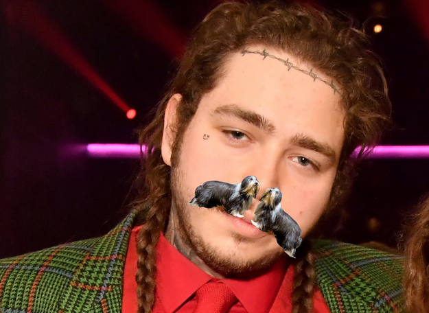 Once You Realize That Post Malone's Mustache Looks Like Two Dogs ...
