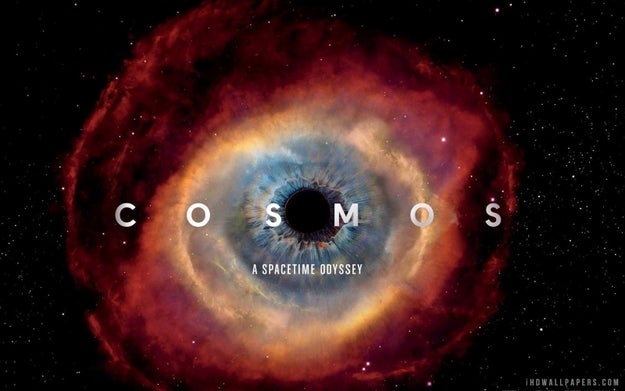 Cosmos: A Spacetime Odyssey (2014)