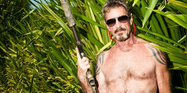 Gringo: The Dangerous Life of John McAfee (2016)