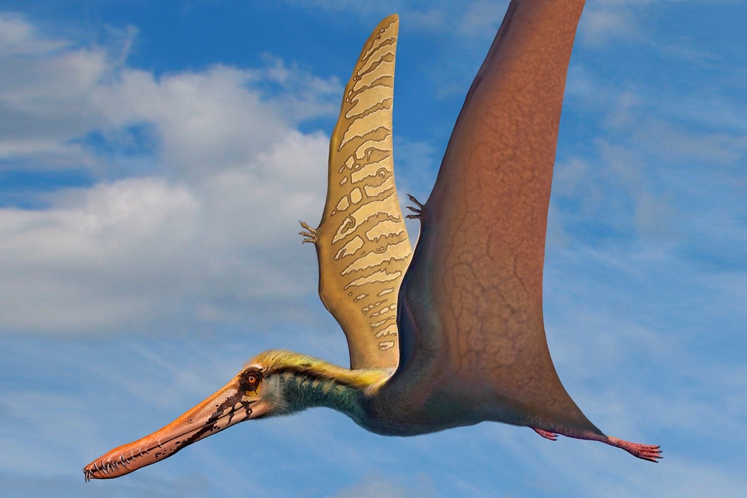 What could be more romantic than soaring on this gal's back all night long? Nothing. Take note modern lovers.