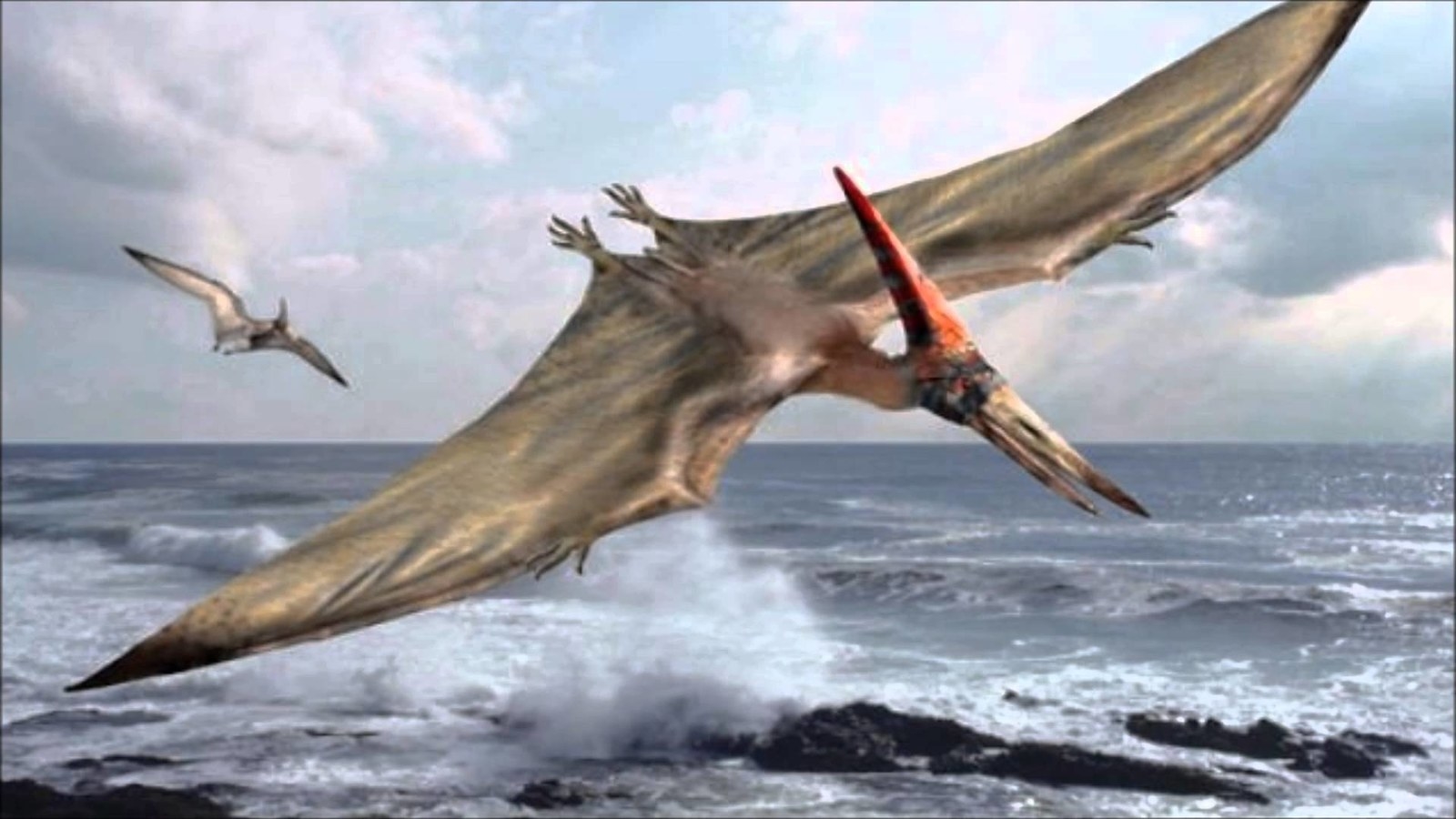 Oh man, we started even hotter than I thought possible. This pterodactyl is so hot, you might just end up with some sand where it doesn't belong.