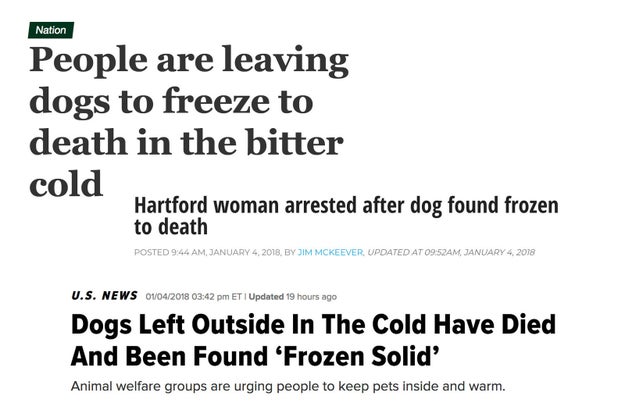 But the truth is, dogs and cats shouldn't be left outside in the cold for long periods, AT ALL.