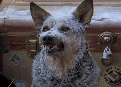 And that's not particularly warm on a day when temperatures drop into the teens or single digits.