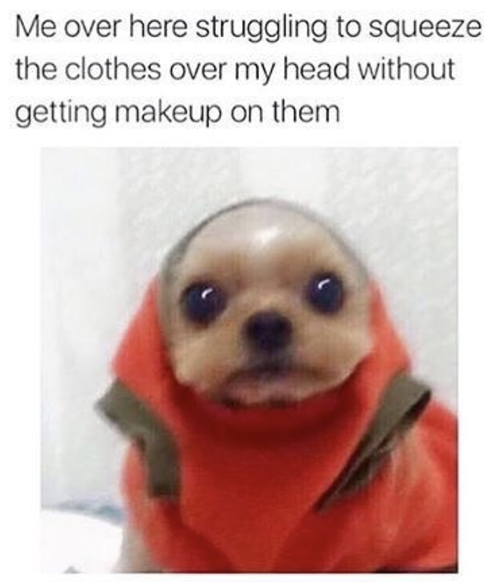 funny makeup memes