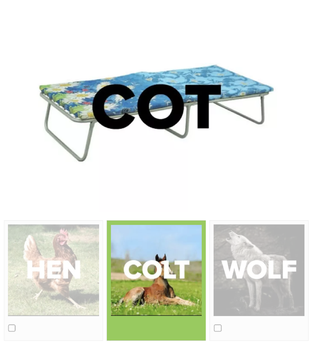 For each question below, you must choose the animal that is one letter off from what's in the photo. Example: COT --&gt; COLT.