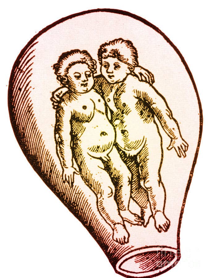 Preformationism was another of Aristotle's theories. He claimed that inside each human sperm was a tiny person, and inside that tiny person was more people-sperm (i.e, sperm = Russian dolls). What's more, he believed this embryonic sperm was all that was needed to generate life: the woman was just the oven, and the resulting baby took 100% of its characteristics from the man. Cheers, Aristotle.