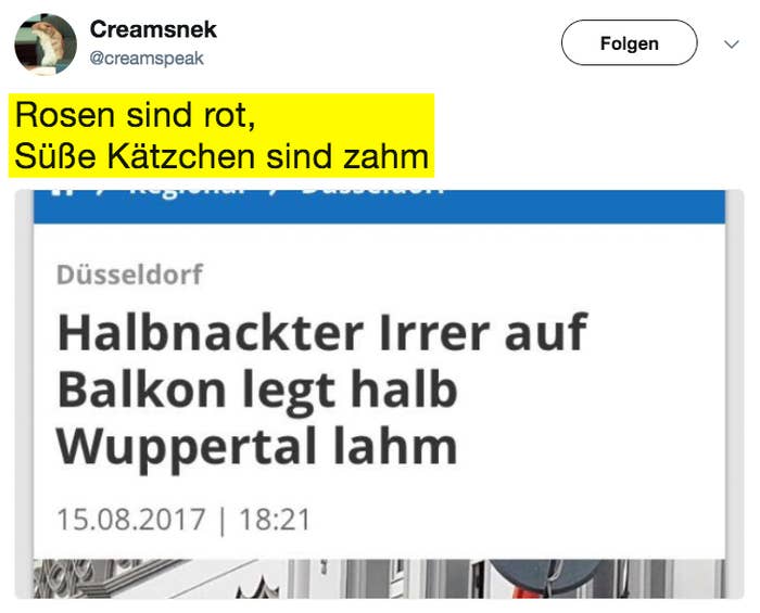 Rosen Sind Rot Tassen Haben Henkel