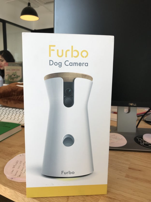 Then, one day, a Furbo dog camera arrived at our office, and I was allowed to take it home. It was if universe knew exactly what I had been worrying about — and offered what seemed like the perfect solution: