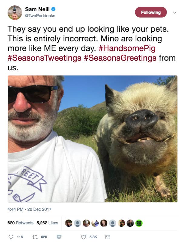 Sam Neill Is So hilarious and Wholesome On Twitter, He will Genuinely Soothe Your Soul