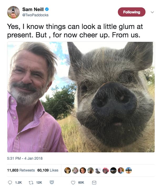 Sam Neill Is So hilarious and Wholesome On Twitter, He will Genuinely Soothe Your Soul
