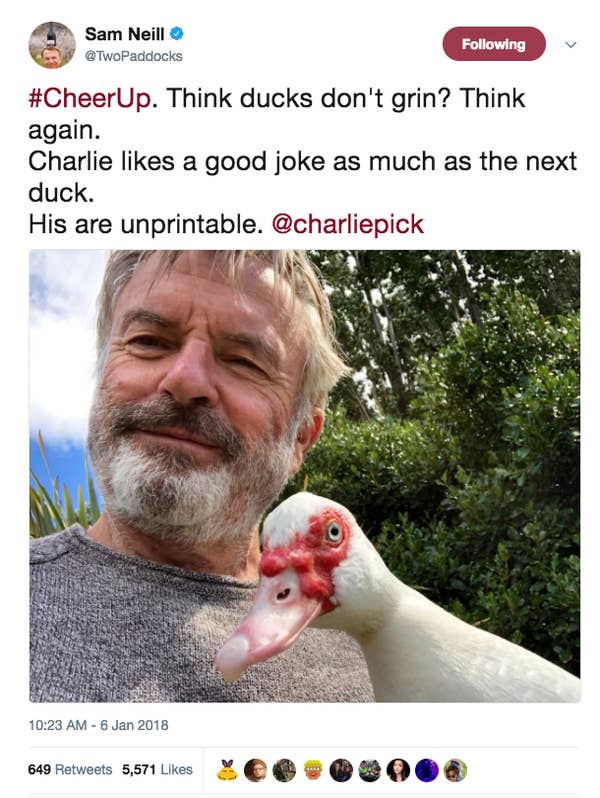 Sam Neill Is So hilarious and Wholesome On Twitter, He will Genuinely Soothe Your Soul