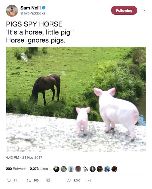 Sam Neill Is So hilarious and Wholesome On Twitter, He will Genuinely Soothe Your Soul