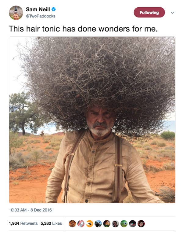 Sam Neill Is So hilarious and Wholesome On Twitter, He will Genuinely Soothe Your Soul