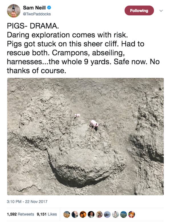 Sam Neill Is So hilarious and Wholesome On Twitter, He will Genuinely Soothe Your Soul