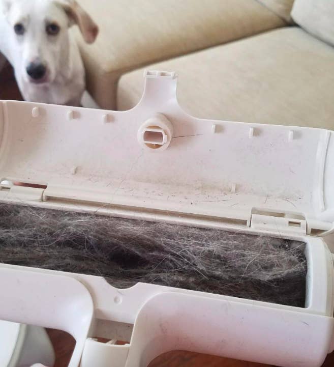 24 Products To Help You Rid Your Home And Clothing From Pet Hair