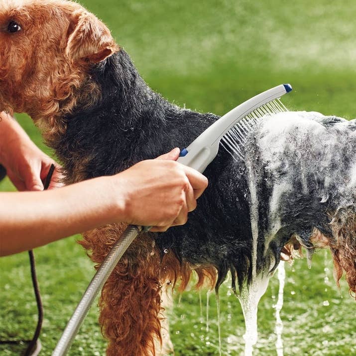 Attaches indoors to a utility sink or shower pipe and outdoors to a garden hose (adapters included). Has one-handed operation with water-flow control, and an extra-long 8-foot flexible hose for extended reach.Promising review: "I have a small dog that needs to be bathed twice a week for a skin condition. Before I purchased this I was never sure if she was rinsed well enough. This works well in my laundry tub with the outdoor faucet connection. She looks so much better, and I know she is rinsed well. Great product!" —Sunny SkiesGet it from Amazon for $29.99 or Walmart for $29.99.