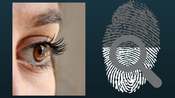 Anytime that you travel internationally or receive a clearance level, you have experience bio metric facial recognition and fingerprinting. This technology is also being used in applications. Two examples are Apple Touch ID and Uber Driver facial recognition. Highly regulated industries like finance and healthcare need additional layers of security and bio metric facial recognition and fingerprinting are a good fit for their Chatbot. This system has recorded Bio metric information in the form of the fingerprint, retina, or face. This information is gathered during periods of opening a new account or accessing new technology features. In this process, a customer will be asked to verify either their fingerprint or bio metric identity prior to accessing the information in order to ensure their identity.This bio metric algorithm will verify their information before giving full access. A bio metric facial recognition system is smart enough to identify if there are normal changes to the individual’s face such as a beard, make up, or facials. A more advanced level of security is the use of the biometric retina recognition. This security feature is common in government agencies and can be integrated into the Chatbot depending on the individual and industry needs.