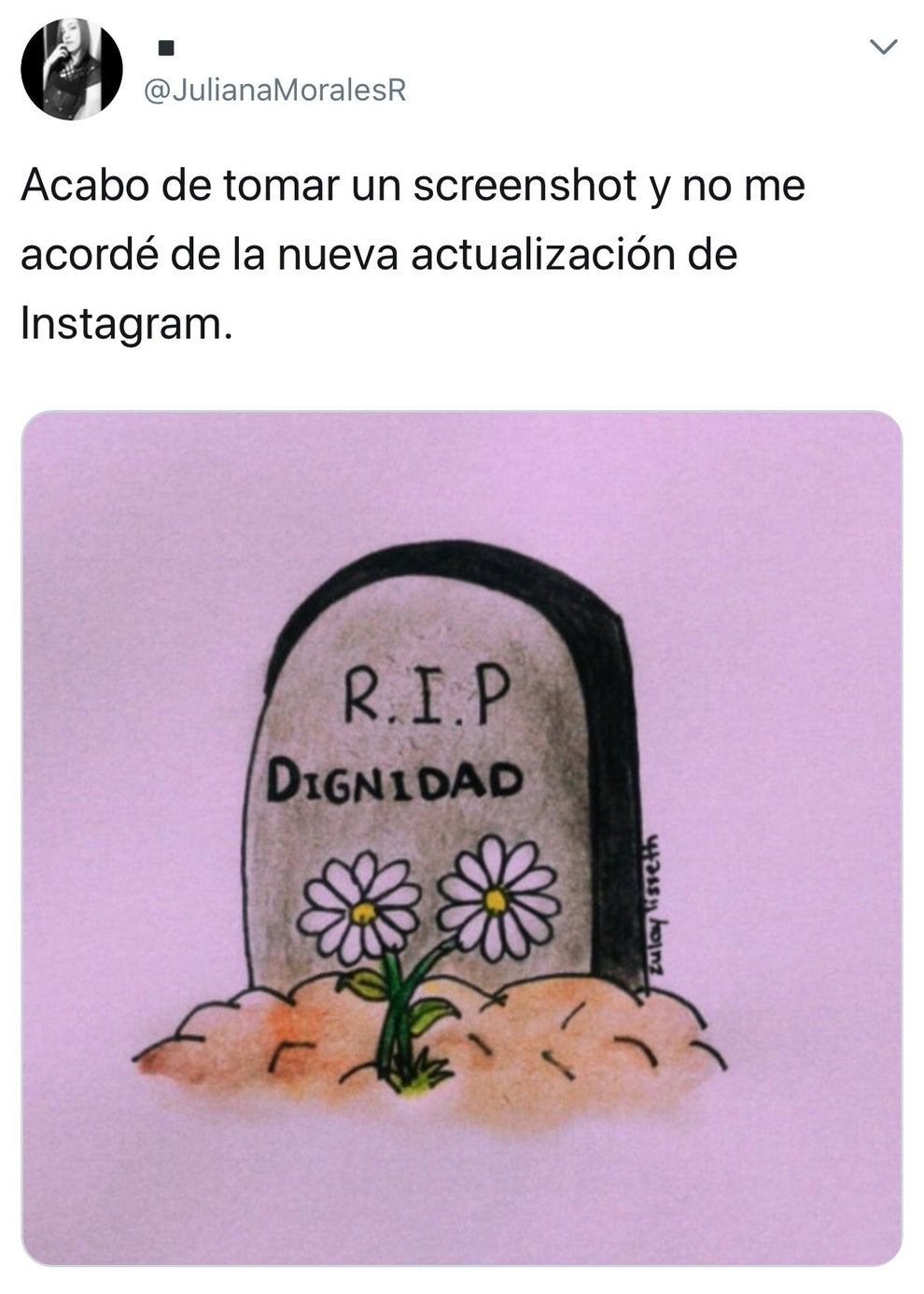 Salen Las Capturas En Historias De Instagram