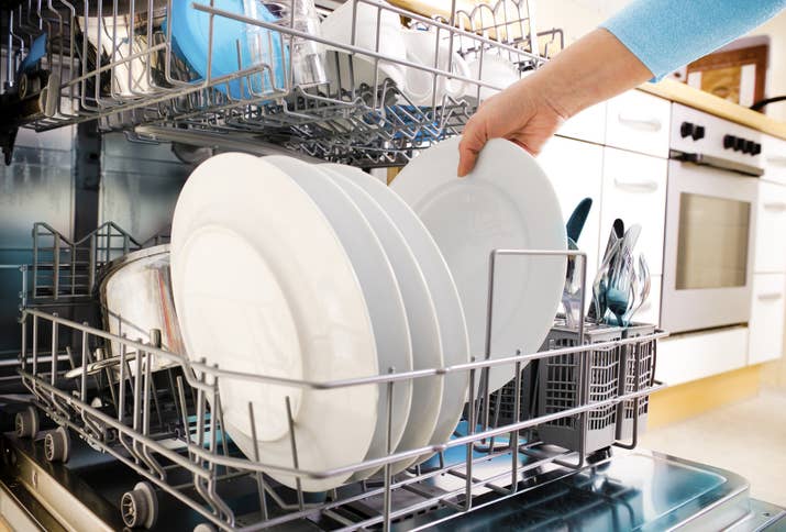Cochrane diseñó el modelo del primer lavavajillas en la cabaña de detrás de su casa. Para construir la máquina, midió platos, tazas y cubertería para crear compartimentos adaptados y decidió incluir agua a presión en lugar de estropajos para la limpieza. Desde el primer momento su invento fue todo un éxito, aunque en un principio solo se utilizaba en restaurantes y hoteles antes de dar paso a las casas.