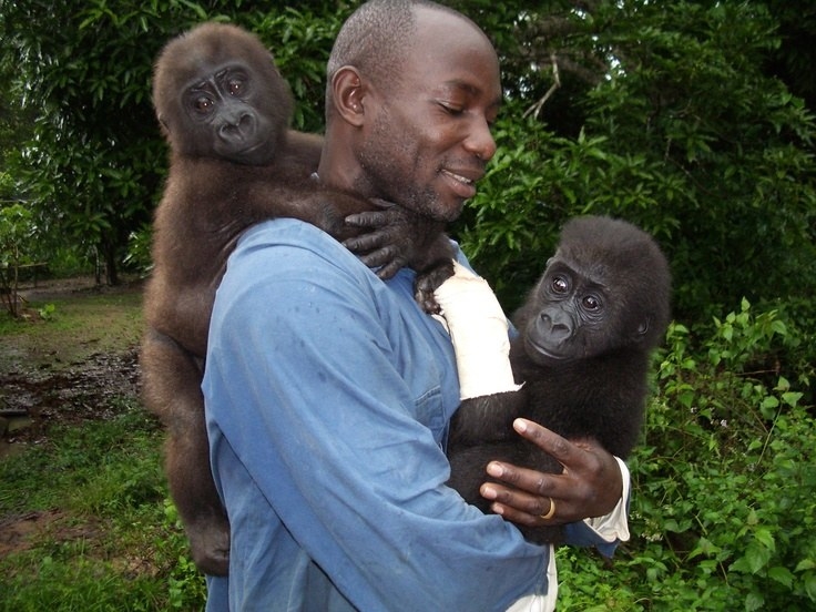 This Beautiful Image Of A Rescued Gorilla Hugging Her Caretaker Just