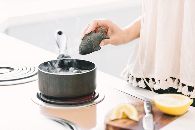 A lucky iron fish that infuses your food with additional iron. It's the perfect pal for vegetarians or anyone who needs more iron in their diet.