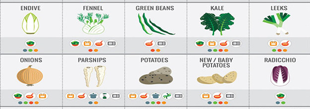 21 Cooking Charts That Ll Make Any Foodie Say Excuse Me What