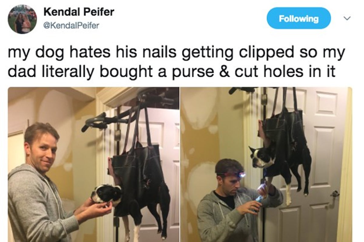 This Girl's Dad Had The Funniest Solution To Their Dog Not Wanting Its Nails  Clipped