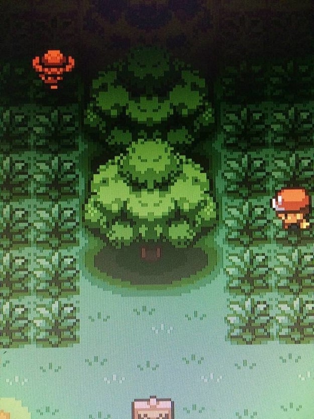These trees in the Pokemon game looks like muscle guys flexing: