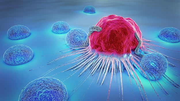 Black people are more likely to die of all cancers combined than any other racial or ethnic group.