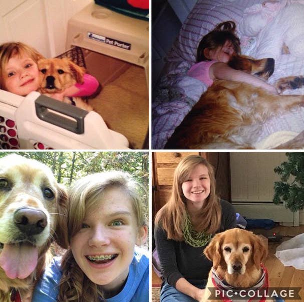 "She passed away July, 2017. First picture is spring, 2003; second is probably around 2005; third is summer, 2013; and the last is Christmas, 2016. Adopting her was one of my first memories. She was a QUEEN." – shannonw44e8d24aa