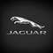 Jaguar Brasil
