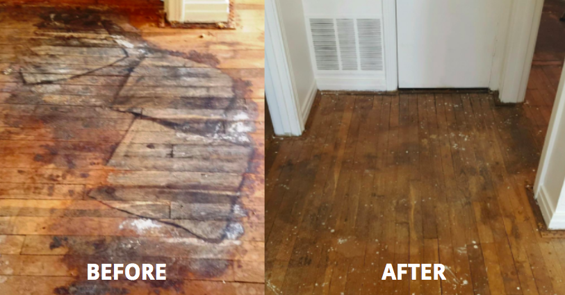 Nature's miracle on hardwood sale floors