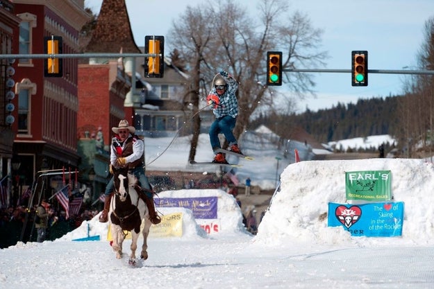 Horses and dogs were once a part of the Winter Games
