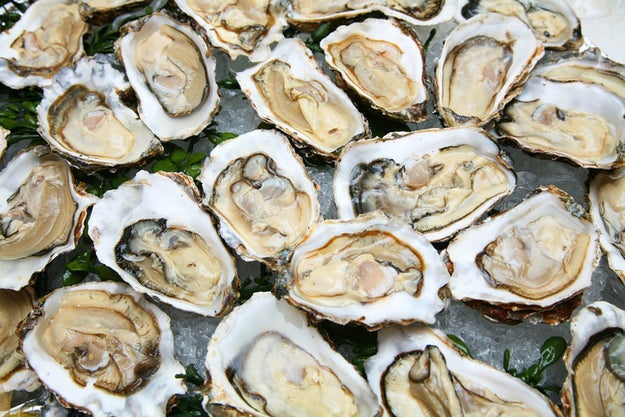 Oysters are alive when you eat them.