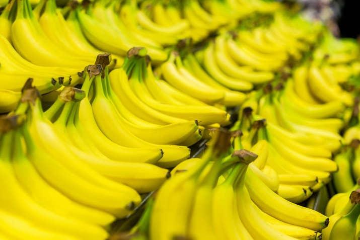 That's because nearly all the world's banana exports come from a single, cultivated variety called the Cavendish. Cavendish bananas are seedless and therefore sterile meaning that farmers must clone the plant.