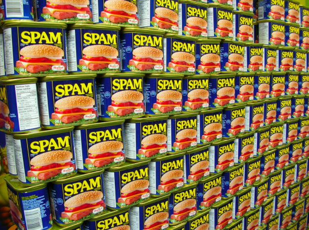 Spam is short for 