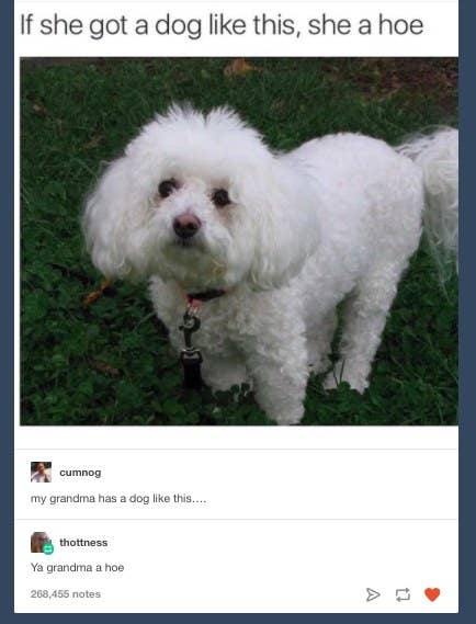 29 Tweets Amp Tumblr Posts Anyone With A Small Fluffy Dog Will
