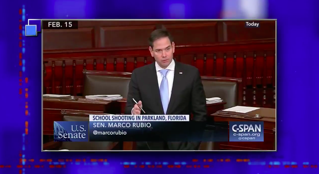 "As long as we're being clear and honest, senator, as a lawmaker, your position is 'The laws are useless, everyone into the Thunderdome!" Colbert said sarcastically. "Then why do we need you? It seems like a houseplant would do a better job and would probably need a little less water."