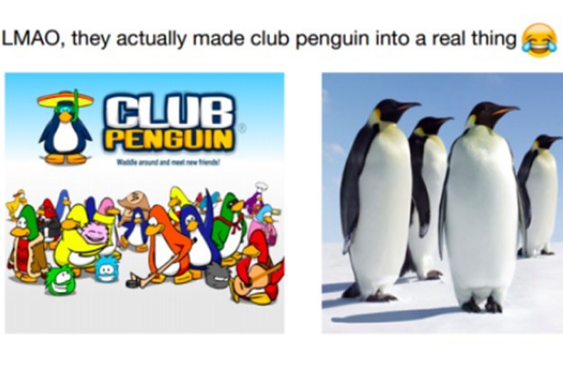 17 Club Penguin Memes ideas  club penguin memes, club penguin, memes